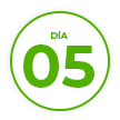 dia 5