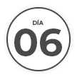 dia 6